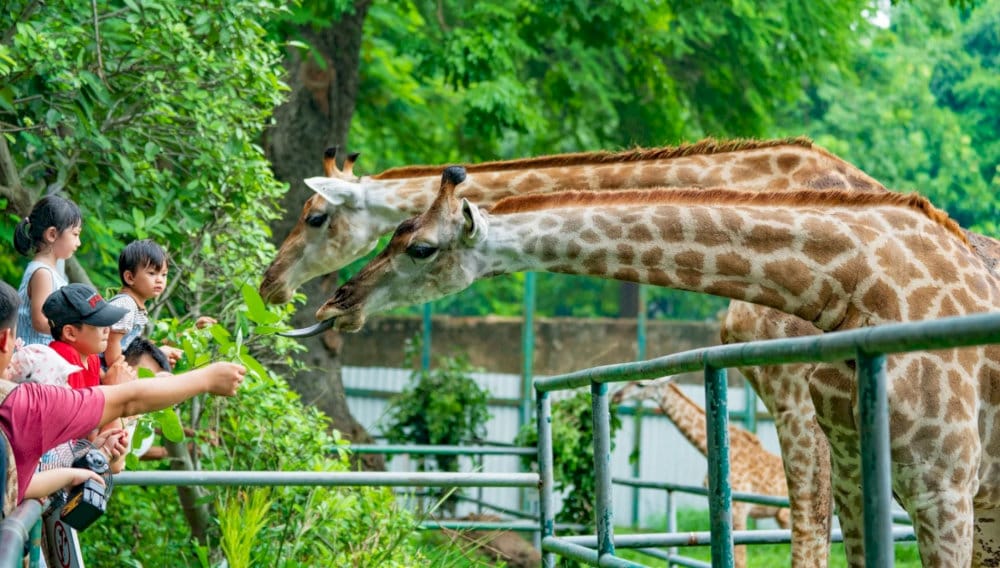 A walk through this historic zoo is a journey into the rich biodiversity of our planet